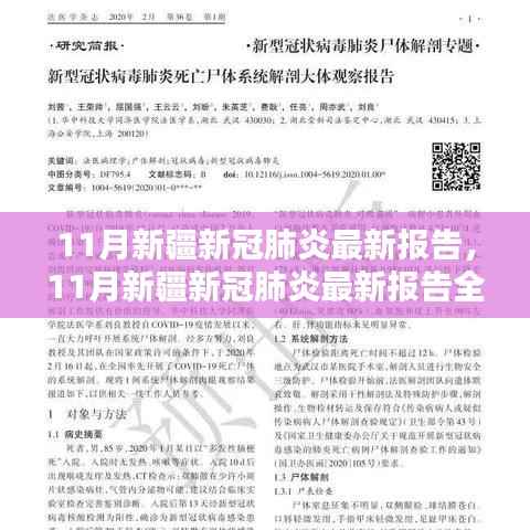 新疆新冠肺炎最新报告全面评测与介绍(11月更新)