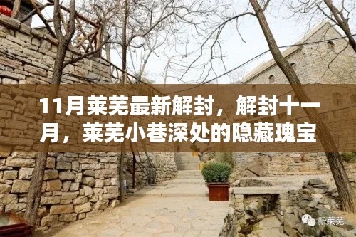 莱芜最新解封,探寻十一月小巷深处的隐藏瑰宝