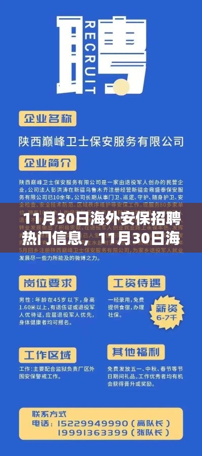 11月30日海外安保招聘最新动态,变化催化成长,自信引领未来