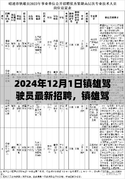 聚焦产业脉动与人才汇聚,镇雄驾驶员最新招聘启事,开启2024年人才招募之旅
