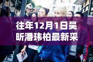 往年12月1日吴昕潘玮柏采访深度评测,特性、体验、竞品对比与用户洞察