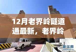 老界岭隧道新进展,自信与成就并行不悖,学习力量铸就12月奇迹