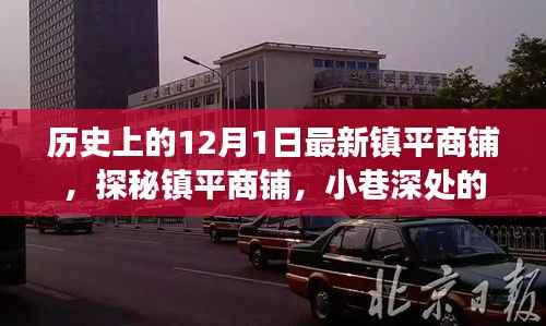 镇平商铺探秘,历史印记下的惊喜之旅(12月1日)