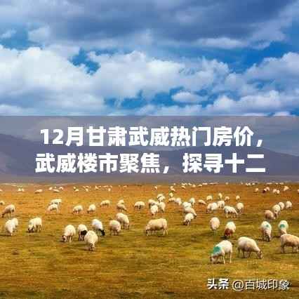 探寻十二月甘肃武威房价波澜,武威楼市聚焦与热门房价解析