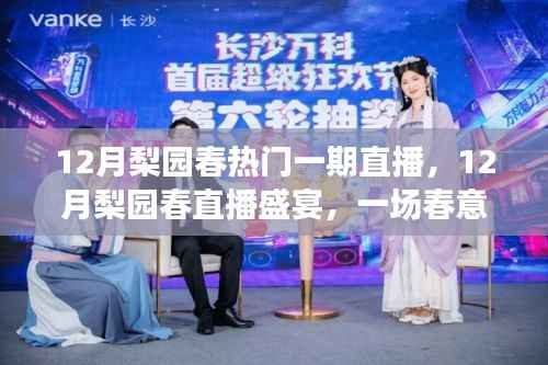 12月梨园春狂欢夜,直播盛宴与艺术狂欢