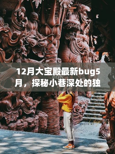 揭秘,十二月大宝殿Bug背后的神秘小巷美食店探索之旅