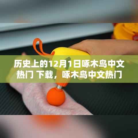 科技重塑生活,啄木鸟中文热门下载在12月1日新品重塑未来体验