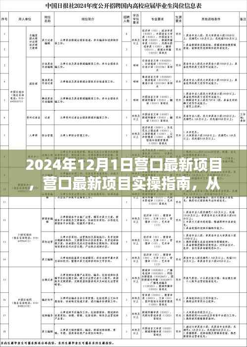 营口最新项目实操指南,从入门到精通的一步到位(2024年12月版)