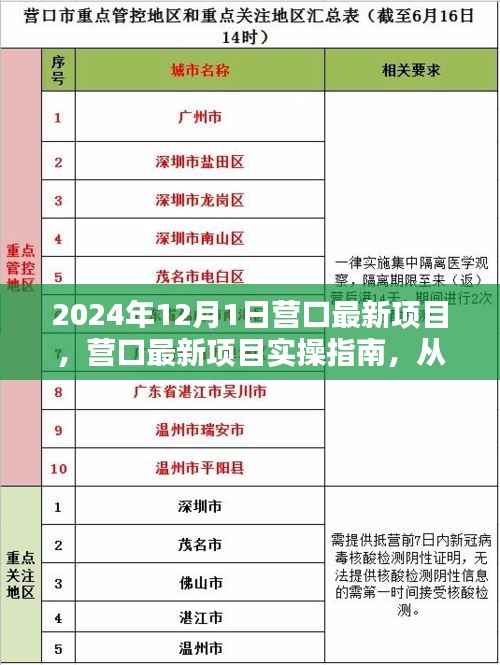 营口最新项目实操指南,从入门到精通的一步到位(2024年12月版)