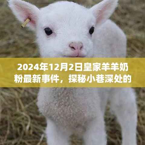 2024年12月2日皇家羊羊奶粉最新事件,探秘小巷深处的皇家羊羊奶粉故事,2024年12月2日的惊喜发现