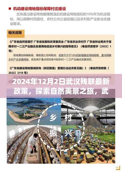 武汉残联新政策引领心灵探索之旅,启程寻找内心平静与美景探索的交融时刻(2024年)