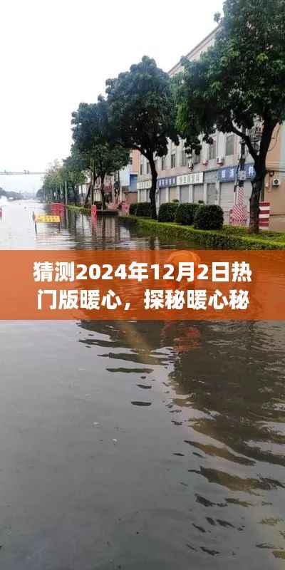 探秘暖心秘境,2024年12月2日热门版暖心之旅,小巷特色小店揭秘之旅
