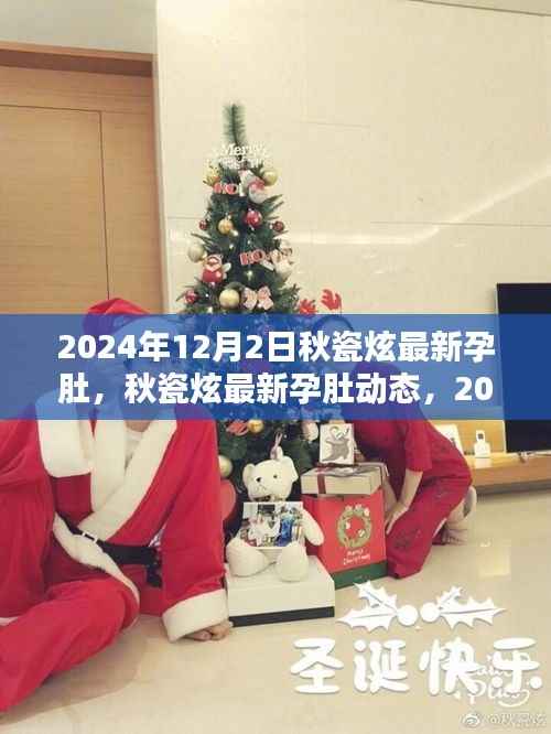 秋瓷炫最新孕肚动态,影视界闪耀之星迎接温馨时刻的喜悦