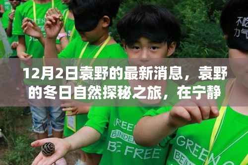 袁野的冬日探秘之旅,自然和谐与内心宁静的共鸣