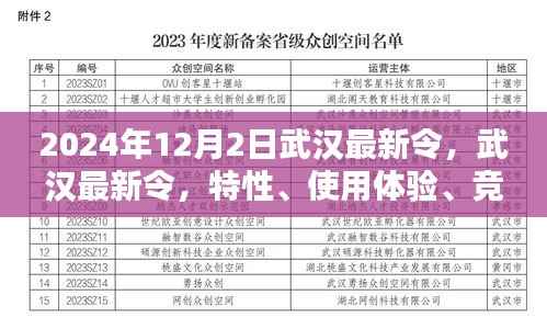 武汉最新令深度解析,特性、体验、竞品对比与目标用户群体(2024版)