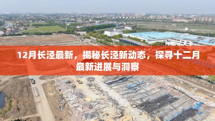 揭秘长泾新动态,十二月最新进展与洞察