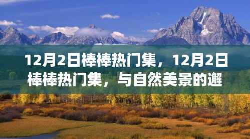 12月2日棒棒热门集,与自然美景的邂逅,踏寻内心平和之旅