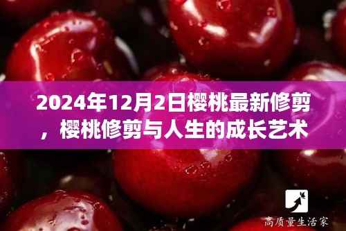 樱桃修剪与人生成长艺术,自信与成就感的源泉,2024年修剪新篇章