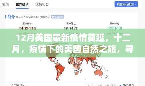 美国疫情蔓延下的自然之旅,寻找心灵的宁静与自然的魔法力量