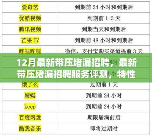最新带压堵漏招聘全方位评测,特性、体验与竞品对比,您的理想选择!