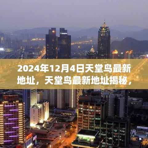 天堂鸟最新地址揭秘,背景、影响与时代变迁的探寻