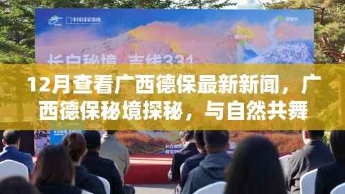 广西德保秘境探秘，与自然共舞，寻找心灵的宁静港湾——最新新闻报道