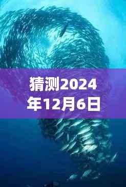 猜测2024年12月6日最新欧美限制电影，探索自然秘境，一场远离尘嚣的电影之旅，寻找内心的平和与喜悦