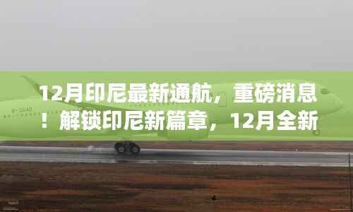 印尼新篇章开启，12月全新通航重磅来袭！