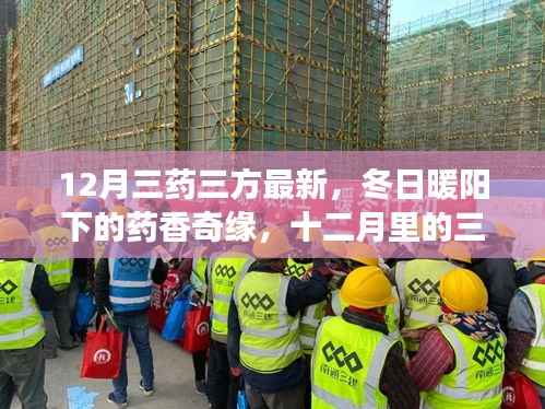 12月三药三方最新，冬日暖阳下的药香奇缘，十二月里的三药三方与暖心故事