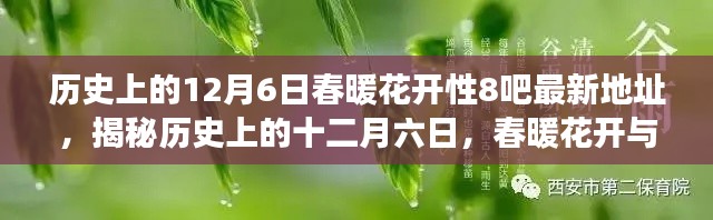 揭秘历史上的十二月六日,春暖花开的知识探索之旅(最新资讯更新)