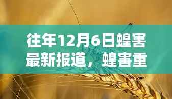 历年12月6日蝗害重现，沙漠迁徙与全球影响关注报道