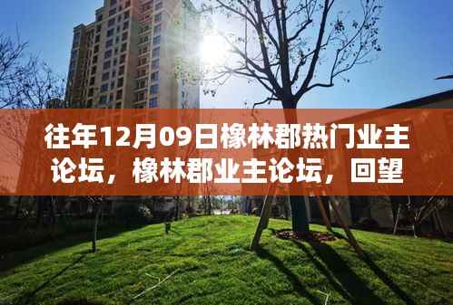 橡林郡业主论坛,历年热议回顾与影响概览