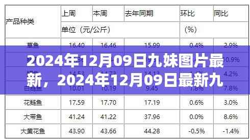 2024年最新九妹图片欣赏，美图尽在手中