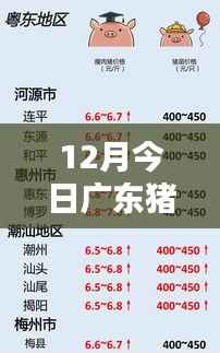 广东猪价走势分析,热门价格及趋势预测在十二月揭晓