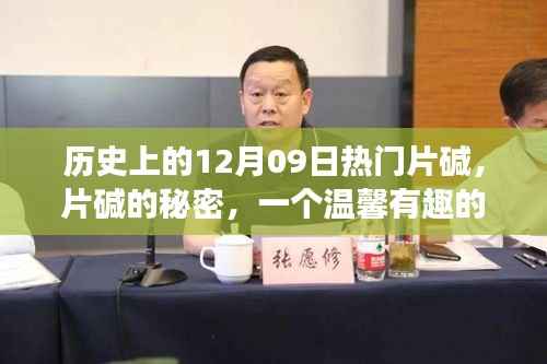 片碱的秘密，温馨有趣的日常故事回顾