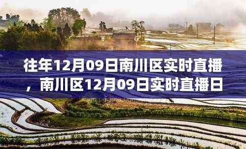 南川区实时直播日,时代见证与文化盛事