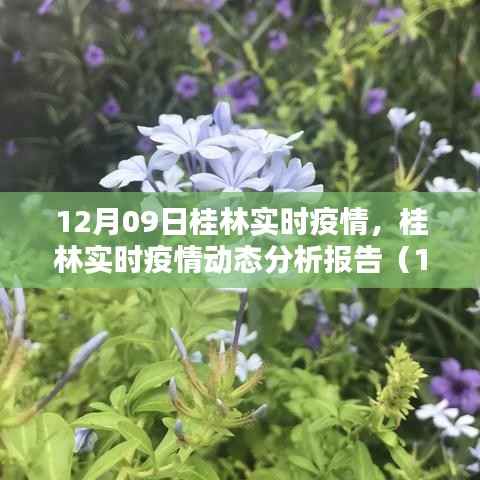 桂林实时疫情动态分析报告,最新数据(12月09日更新)