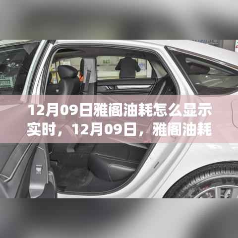 雅阁油耗实时显示指南,油耗与心灵之旅的双重体验