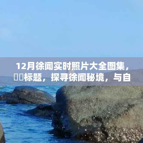 探寻徐闻秘境,与自然共舞,感受宁静乐园的十二月实时照片图集