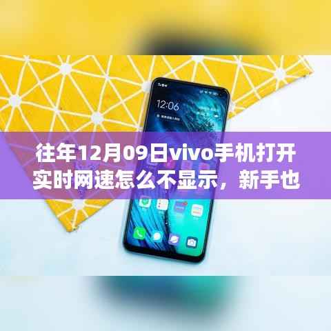 如何在往年12月09日vivo手机上开启实时网速显示功能？新手教程分享。