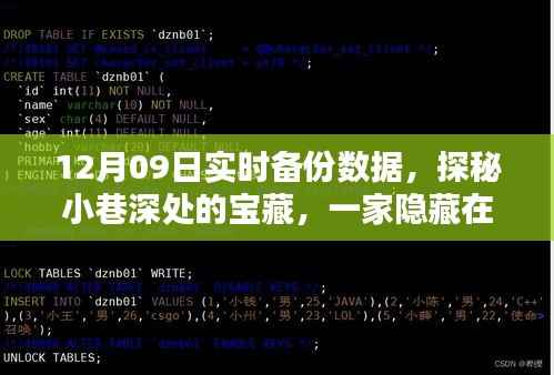 时光宝藏,数据备份特色小店的秘密与实时备份之旅(12月09日)
