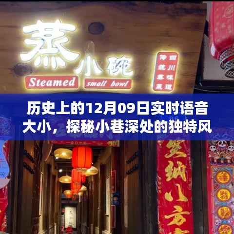 探秘历史小巷深处的语音大小特色小店,12月09日的独特风味