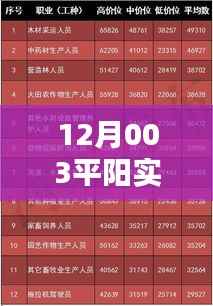 平阳实时任务完成指南,初学者与进阶用户适用攻略