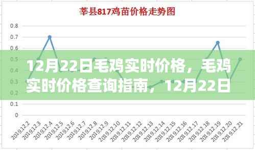 12月22日毛鸡实时价格查询指南，获取准确信息的途径