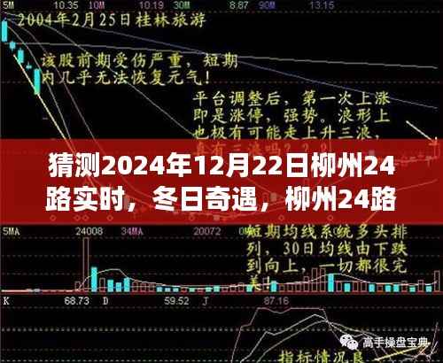 冬日奇遇,柳州24路暖心时光实录(猜测2024年12月22日实时)