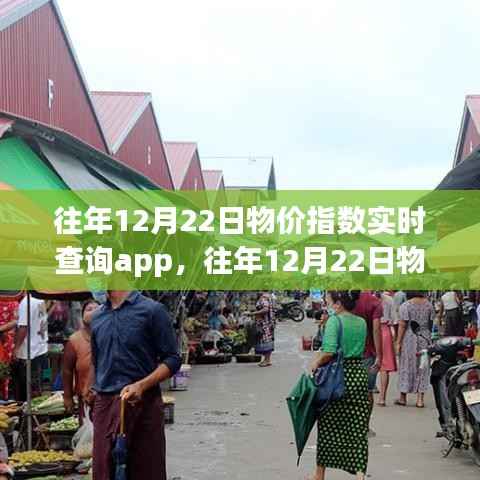 往年12月22日物价指数实时查询APP评测与介绍