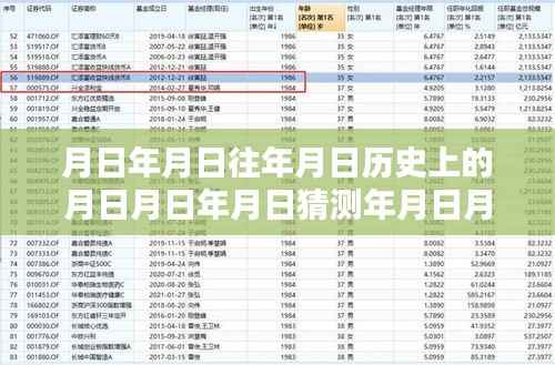实时排行软件评测，月基金估值与历史上的基金表现深度解析