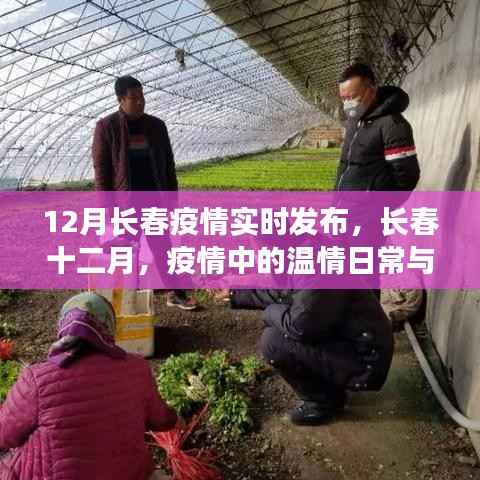 长春十二月疫情下的温情与友情纽带实时更新