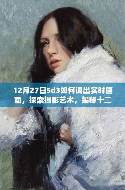 揭秘摄影艺术,如何在尼康D53相机上实现实时画面调整与探索摄影艺术技巧分享(十二月二十七日指南)