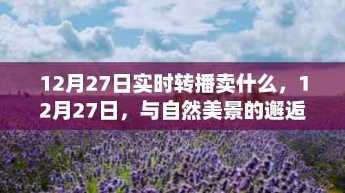 12月27日与自然美景的邂逅,实时旅行直播探寻内心平静之旅